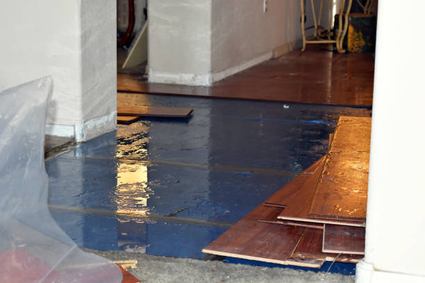 Professional Water Damage Restoration technician working in Riverside, PA